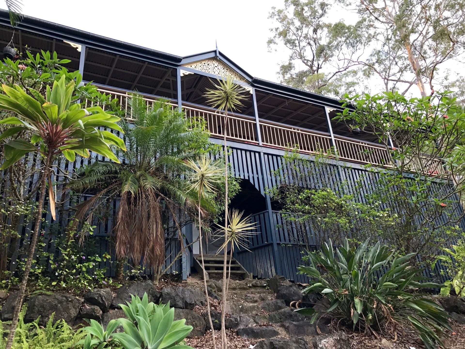 14 Forest Oak Court Tanawha QLD, Tanawha - Thumbnail 4