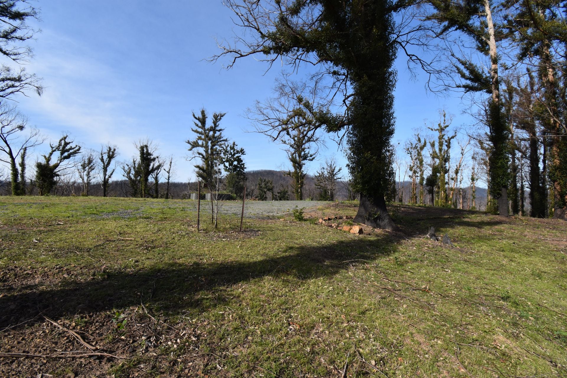97 Welshs Road, Wandella, Wandella - Thumbnail 4