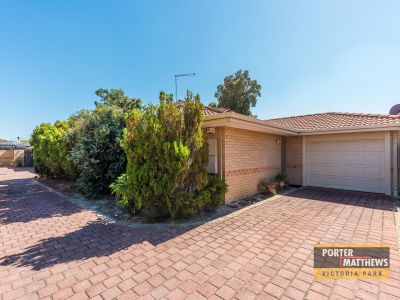 Paint, Nest then Profit !