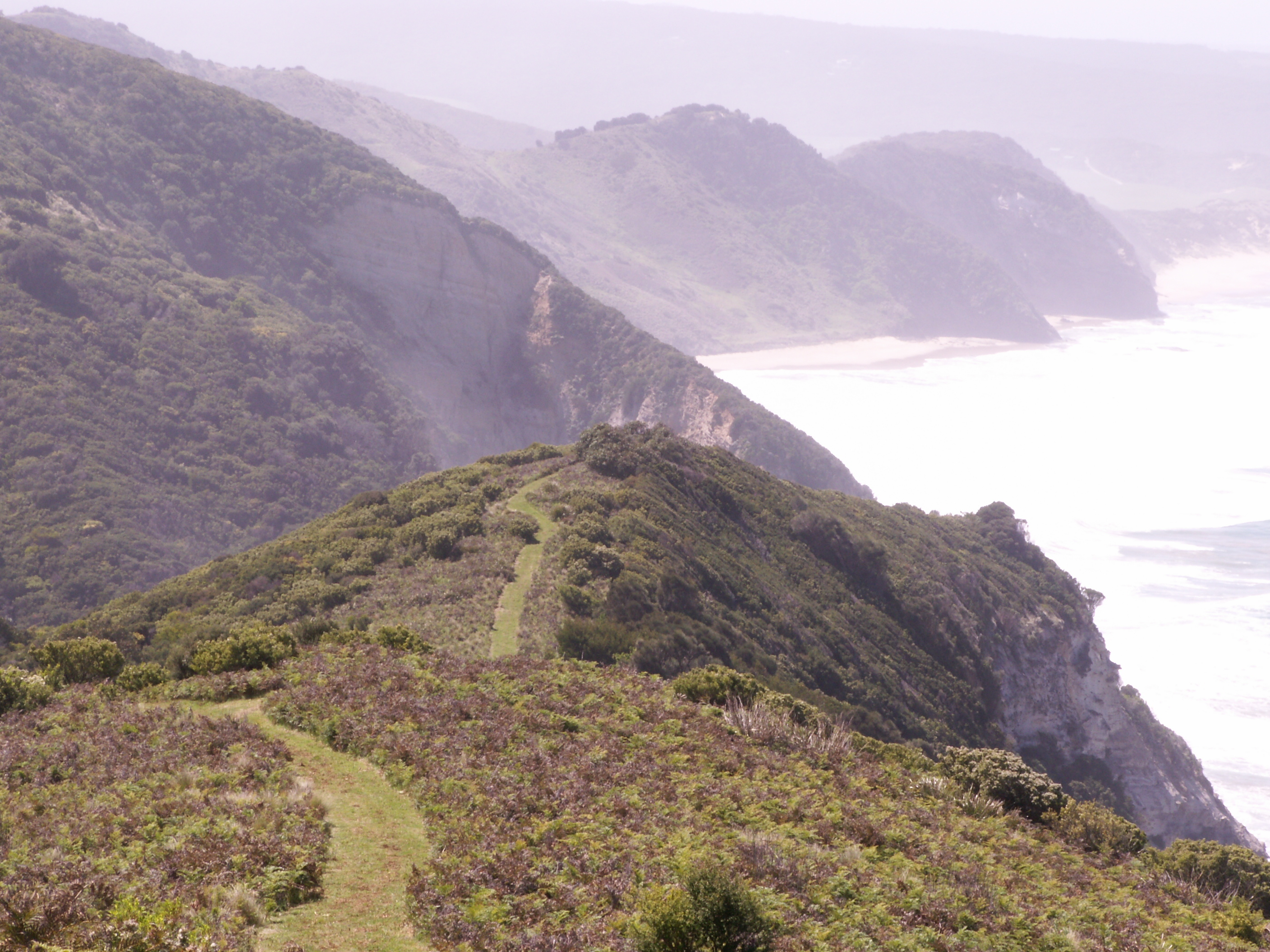 115  Knowledge Track, Yuulong, VIC, Yuulong - Thumbnail 4