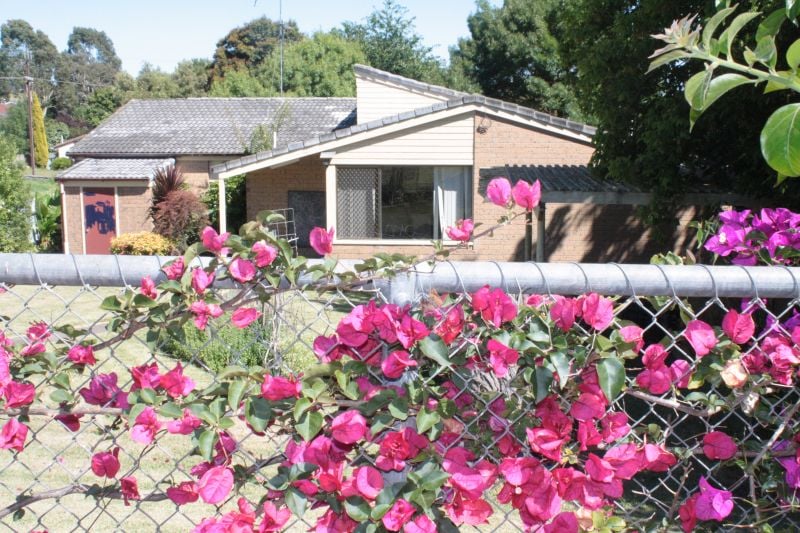29 Stafford Street Mount Gambier SA, Mount Gambier - Thumbnail 3