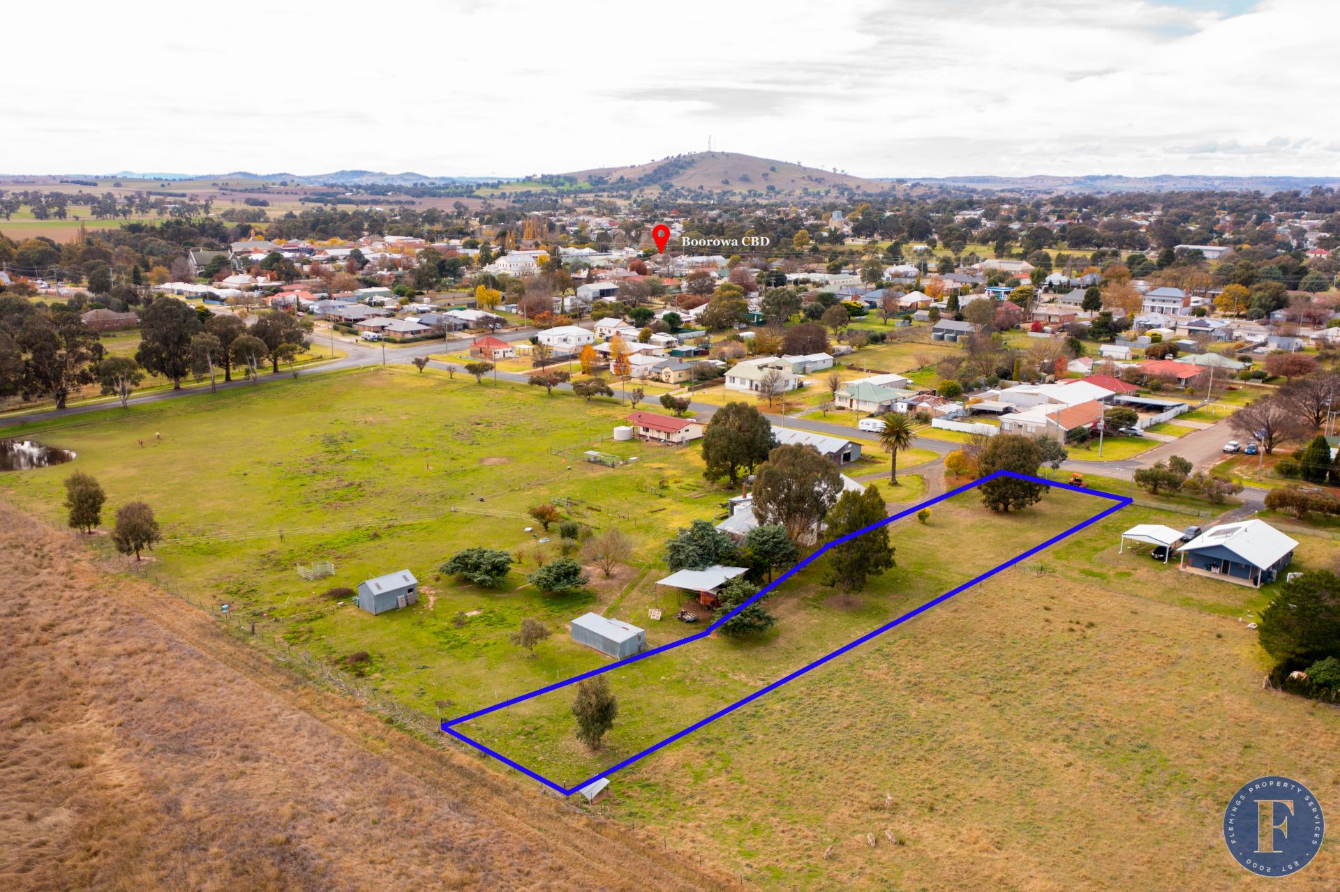 55 Scott Street, Boorowa NSW, Boorowa - Thumbnail 2