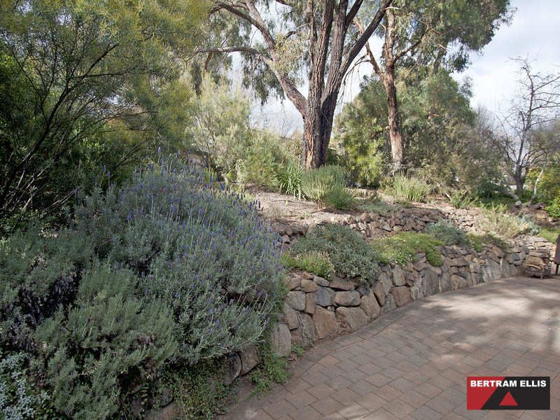 4 Brodribb Street, Wanniassa - Thumbnail 3