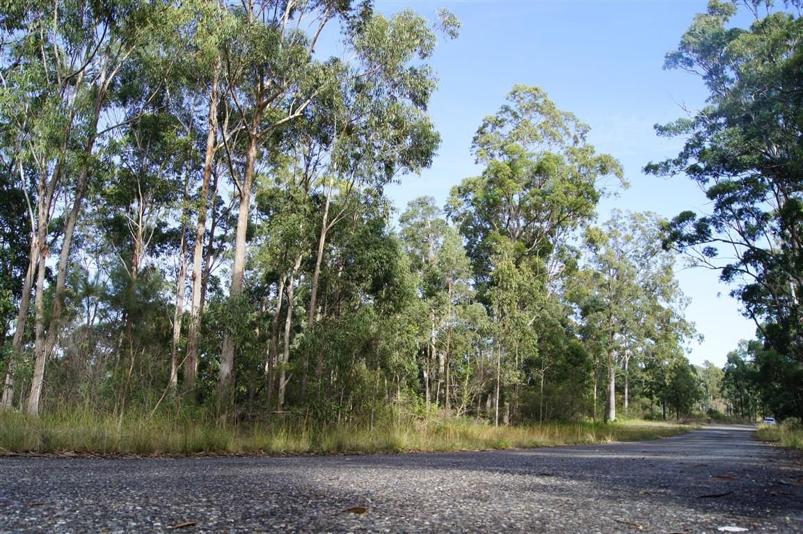 Real Estate For Sale 319 Dirty Creek Road Dirty Creek , NSW