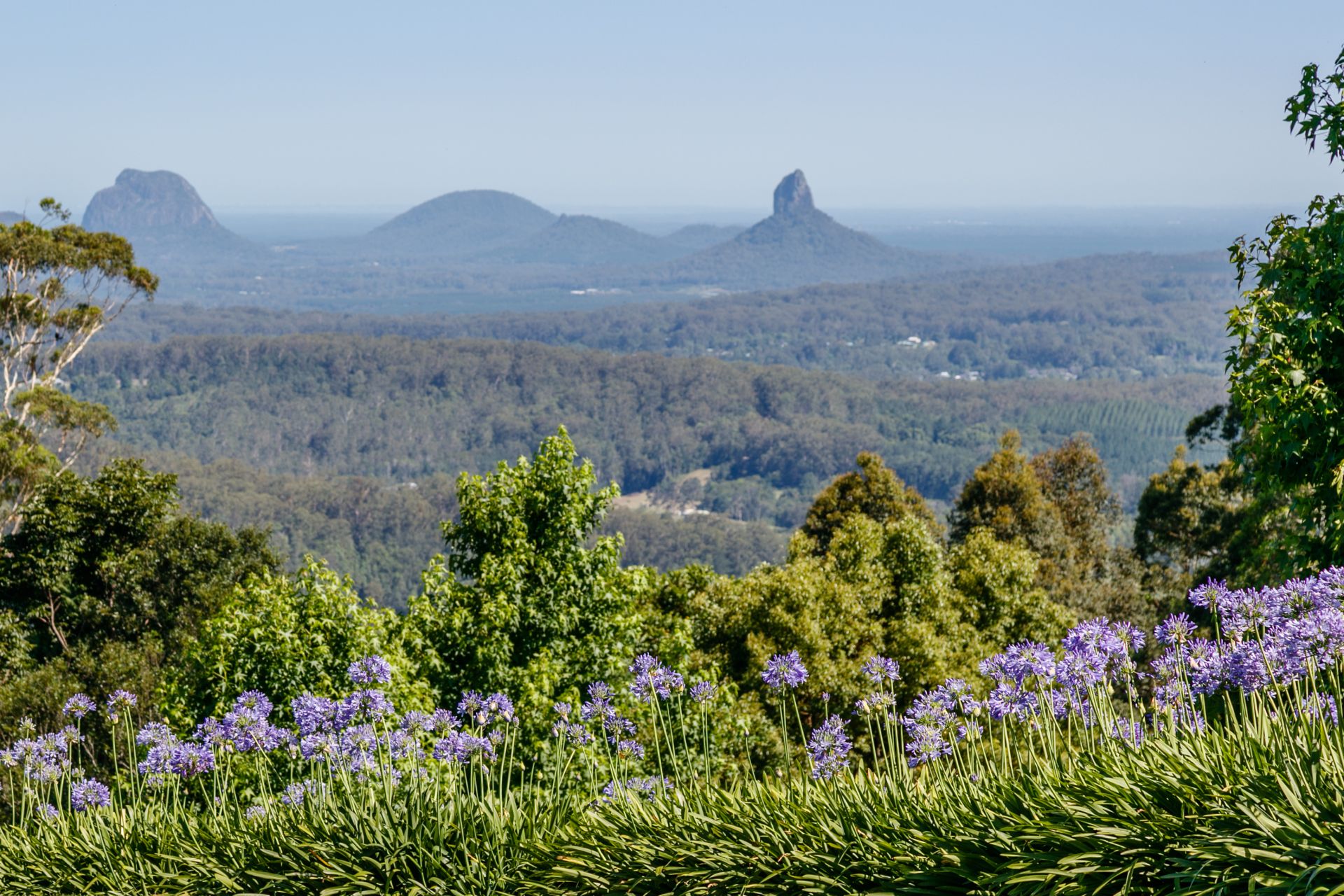 30 Newells Road Beerwah QLD, Beerwah - Thumbnail 6