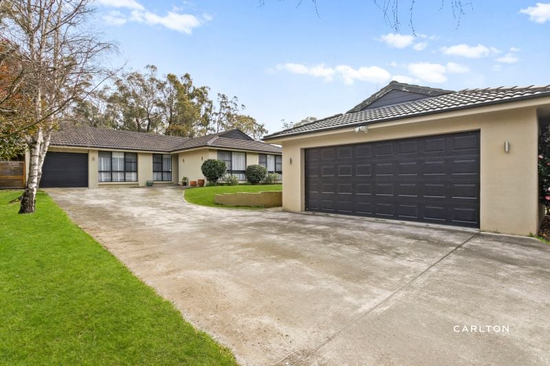 AwardWinning Real Estate Agency Carlton Real Estate