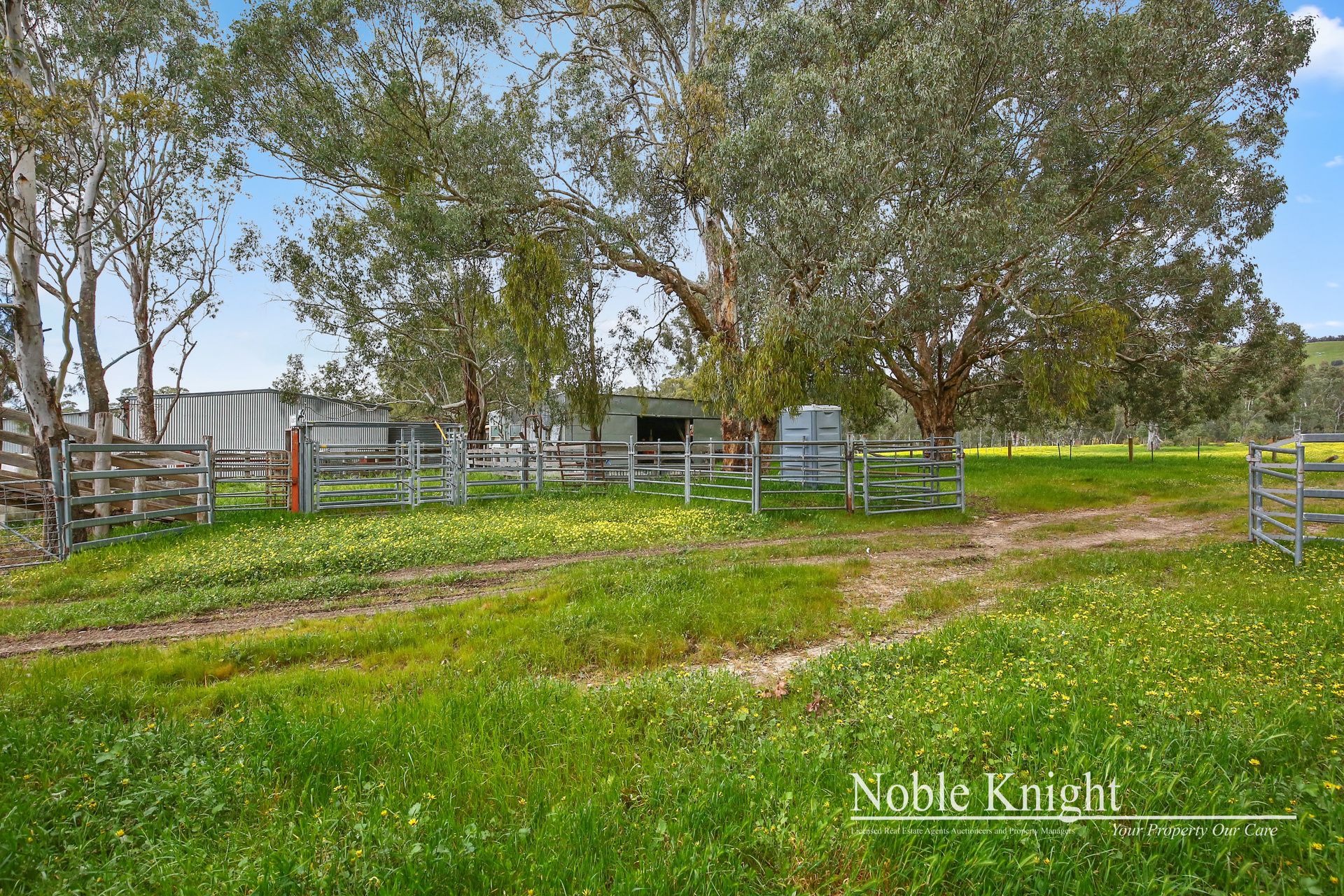 111 Sichlaus Road Yea