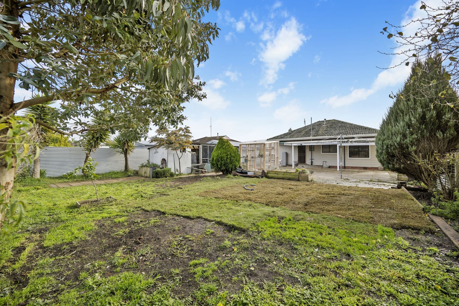 7 Kelvin Avenue, Sebastopol, Sebastopol - Thumbnail 3