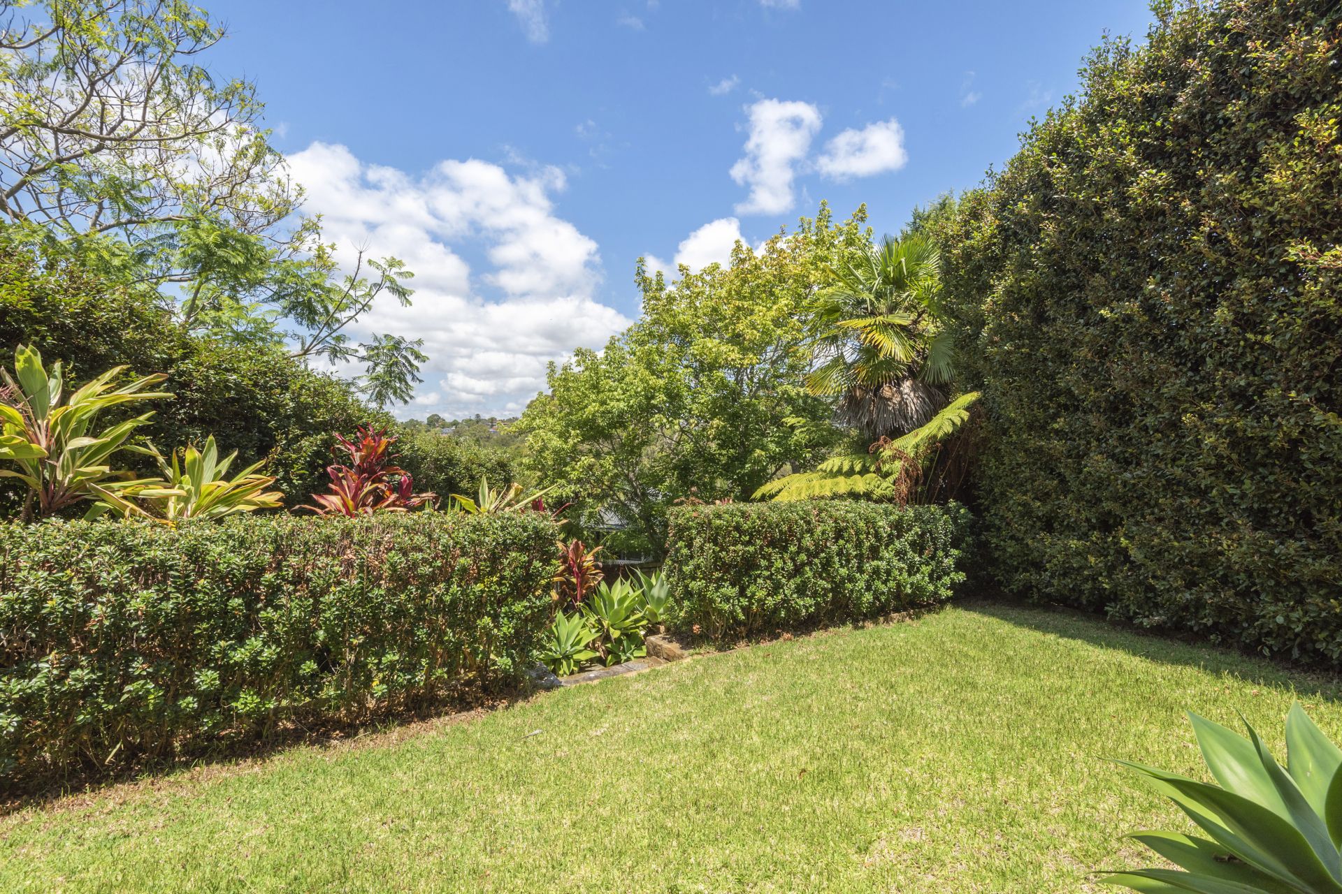 Real Estate For Lease 5 Woolgoolga Street North Balgowlah , NSW