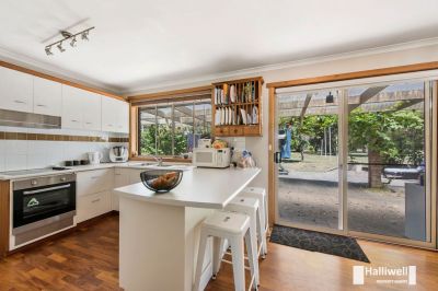 3 Peppermint Court, Port Sorell, Port Sorell - Thumbnail 3