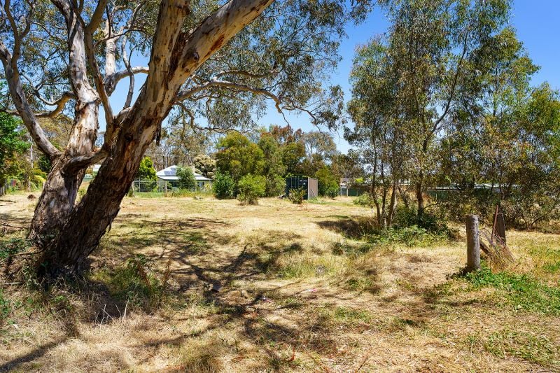 Lot 3, 71 Moscript Street, Campbells Creek - Thumbnail 8