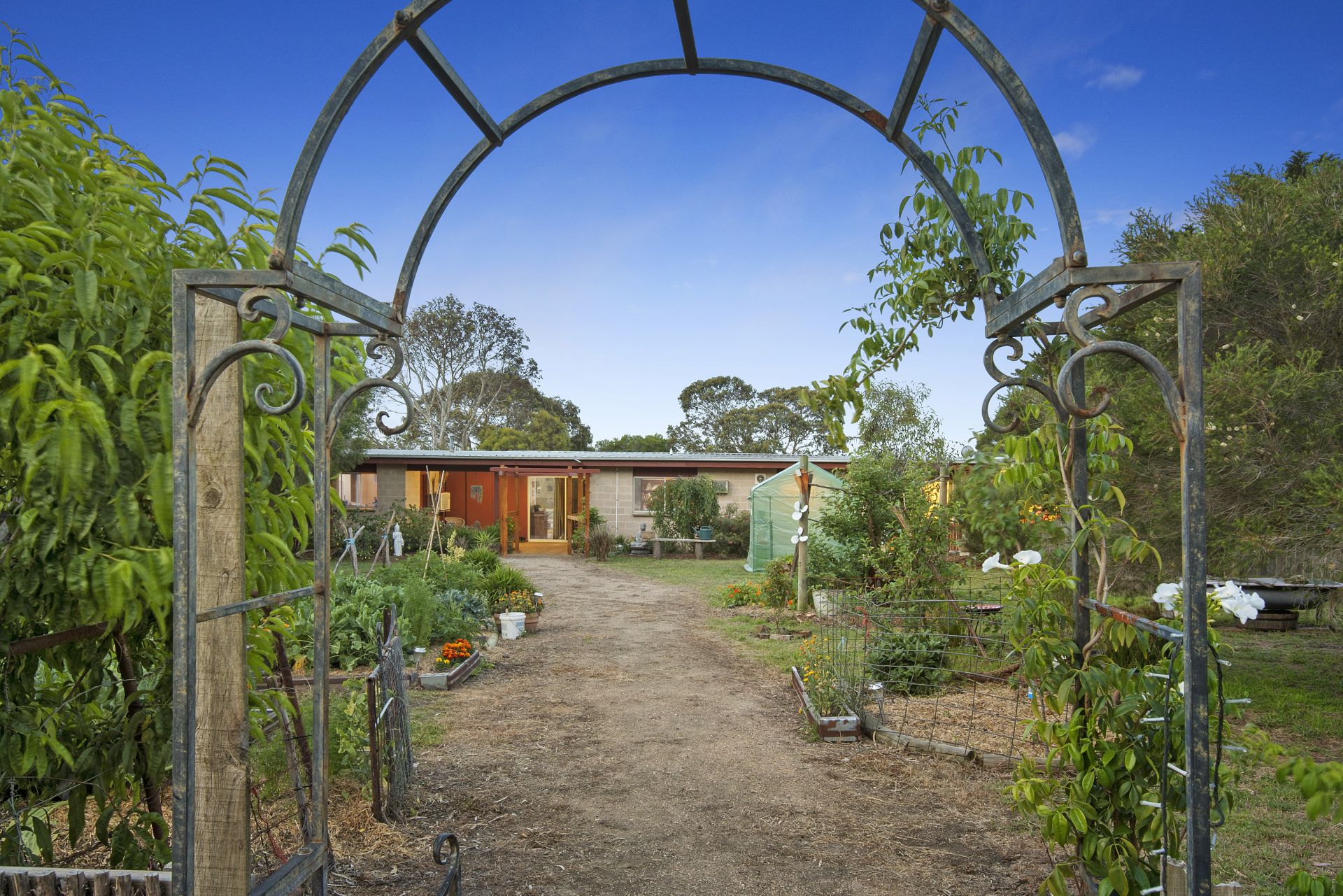 17-19 Buccleugh Street Drysdale VIC, Drysdale - Thumbnail 6