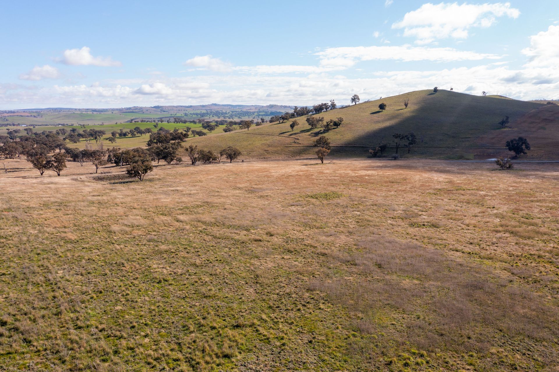 Cnr Brial & Rugby Road, Boorowa NSW, Boorowa - Thumbnail 2