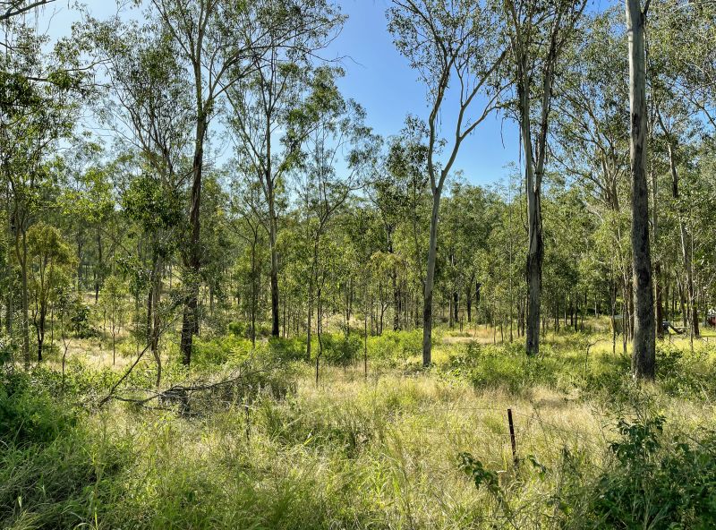 90 Larnook Street, Murphys Creek QLD, Murphys Creek - Thumbnail 3