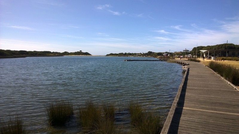 13  Diggers Parade, Anglesea, VIC, Anglesea - Thumbnail 4