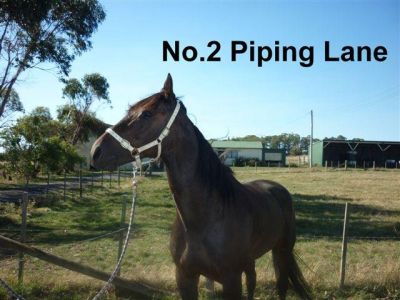 2 Piping Lane, EAST DEVONPORT, East Devonport - Thumbnail 3