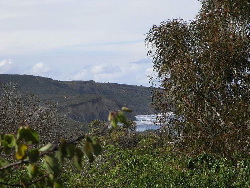 47A Harvey  Street, Anglesea, VIC, Anglesea - Thumbnail 4