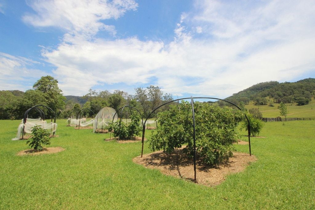 , ELLENBOROUGH NSW 2446