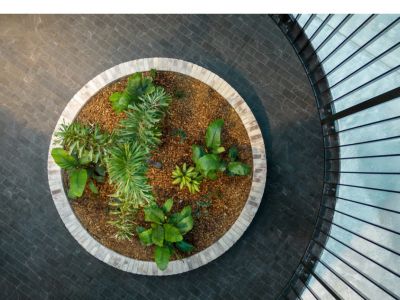 Suite 37/99 Moore Street, Leichhardt