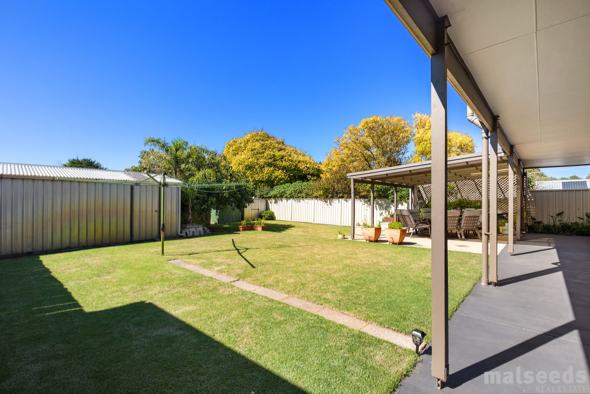 56 Williams Road, Millicent Malseeds Real Estate