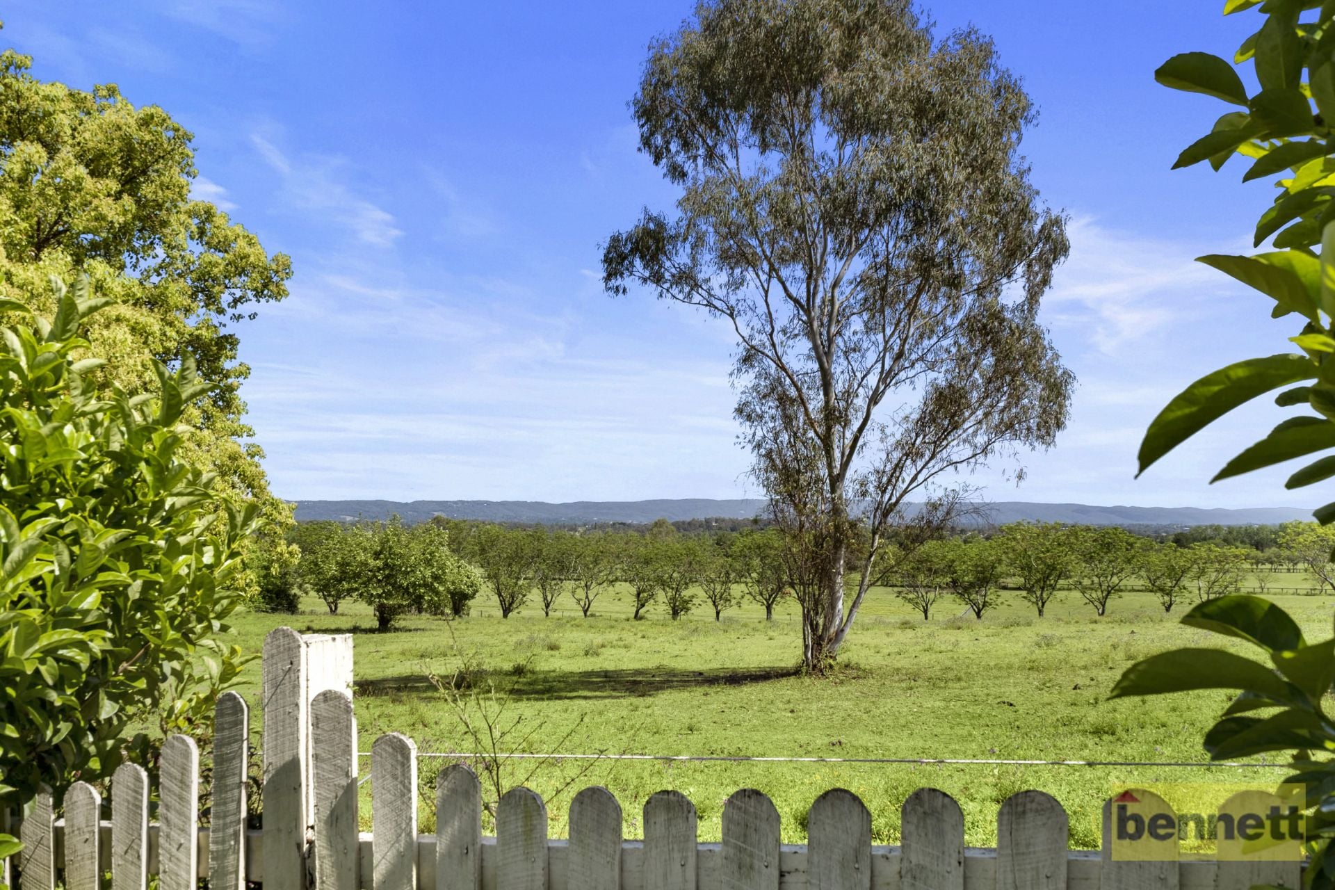 95 William Cox Drive, Richmond - Thumbnail 2