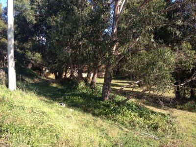 78 River Road, AMBLESIDE, Ambleside - Thumbnail 4