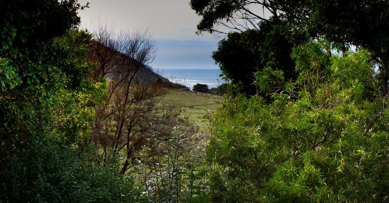 4 Point Avenue Skenes Creek VIC, Skenes Creek - Thumbnail 4