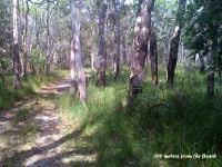 45 Riverside Drive URUNGA NSW