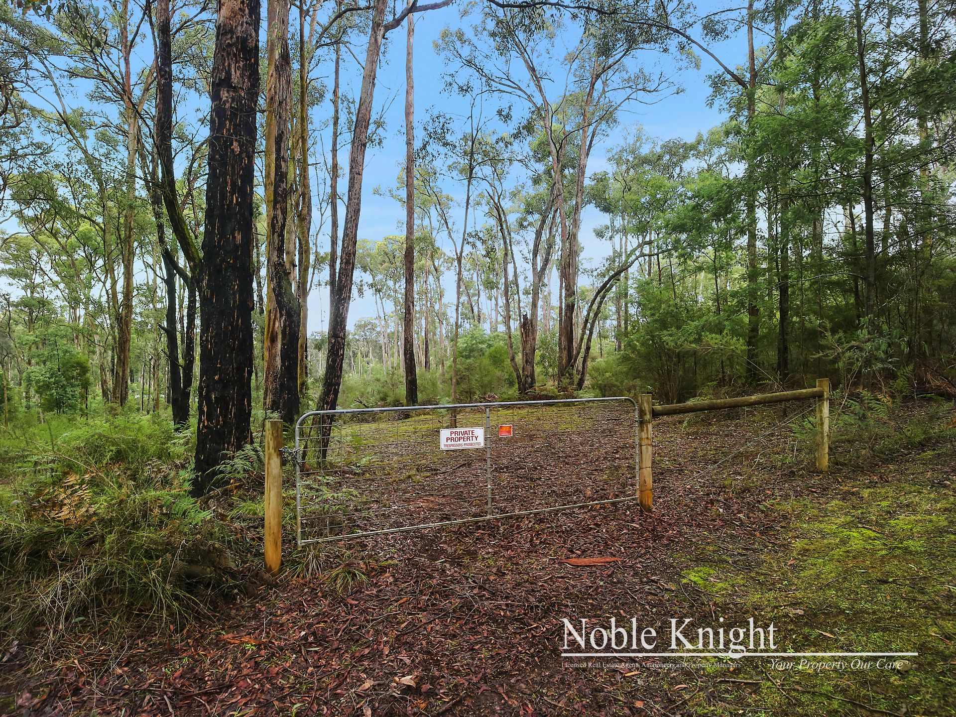 2/53 Banksia Court Castella