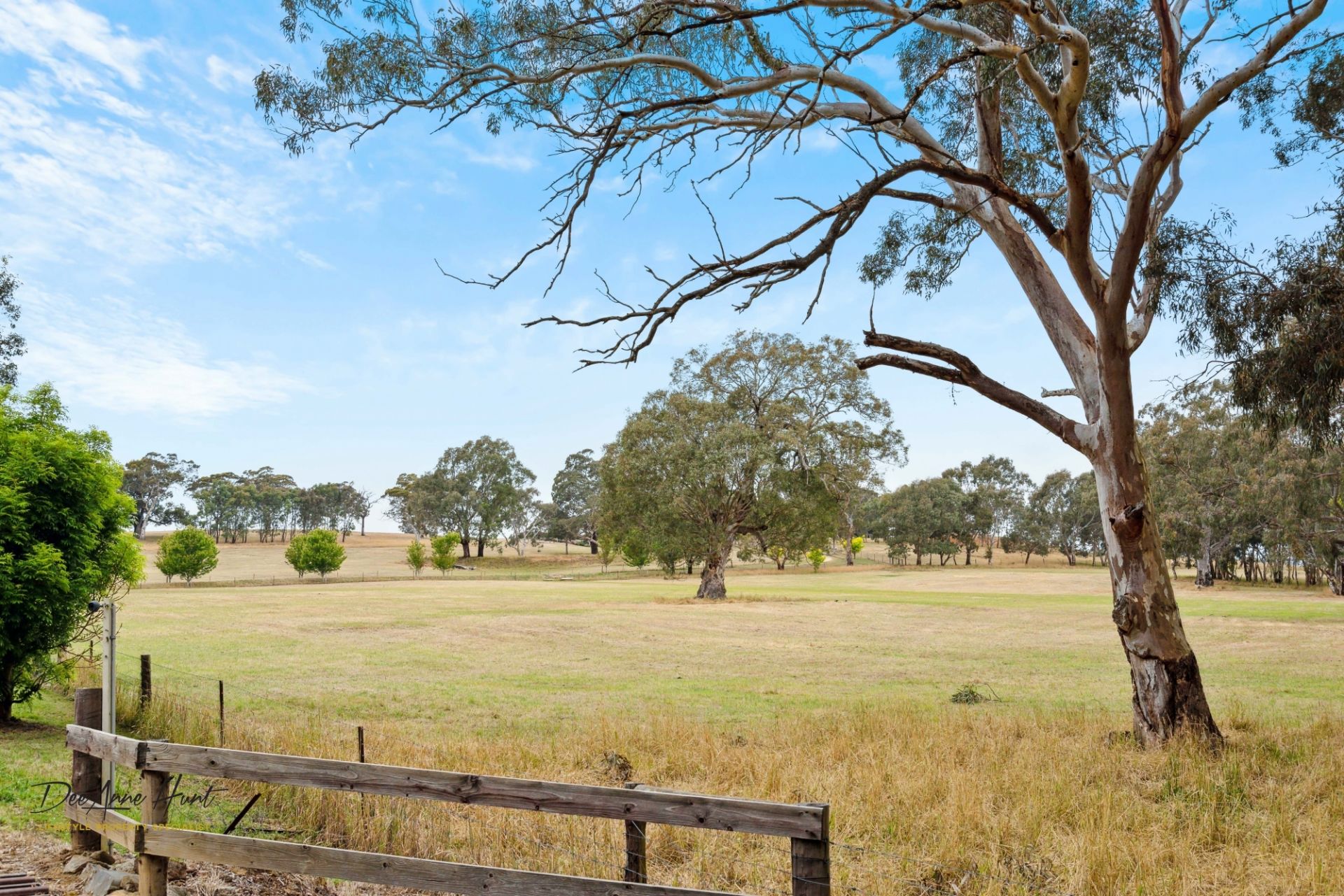 39 Hammersmith Drive, Meadows Williams Real Estate