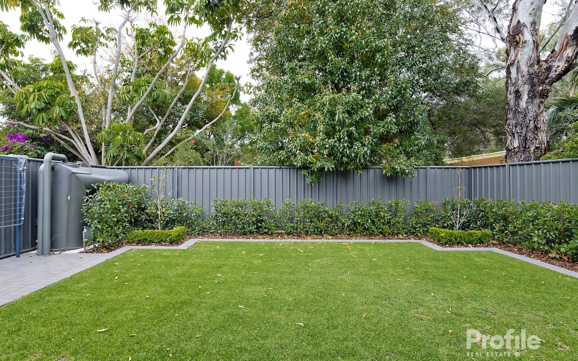 4 Arcoona Avenue Lockleys 5032