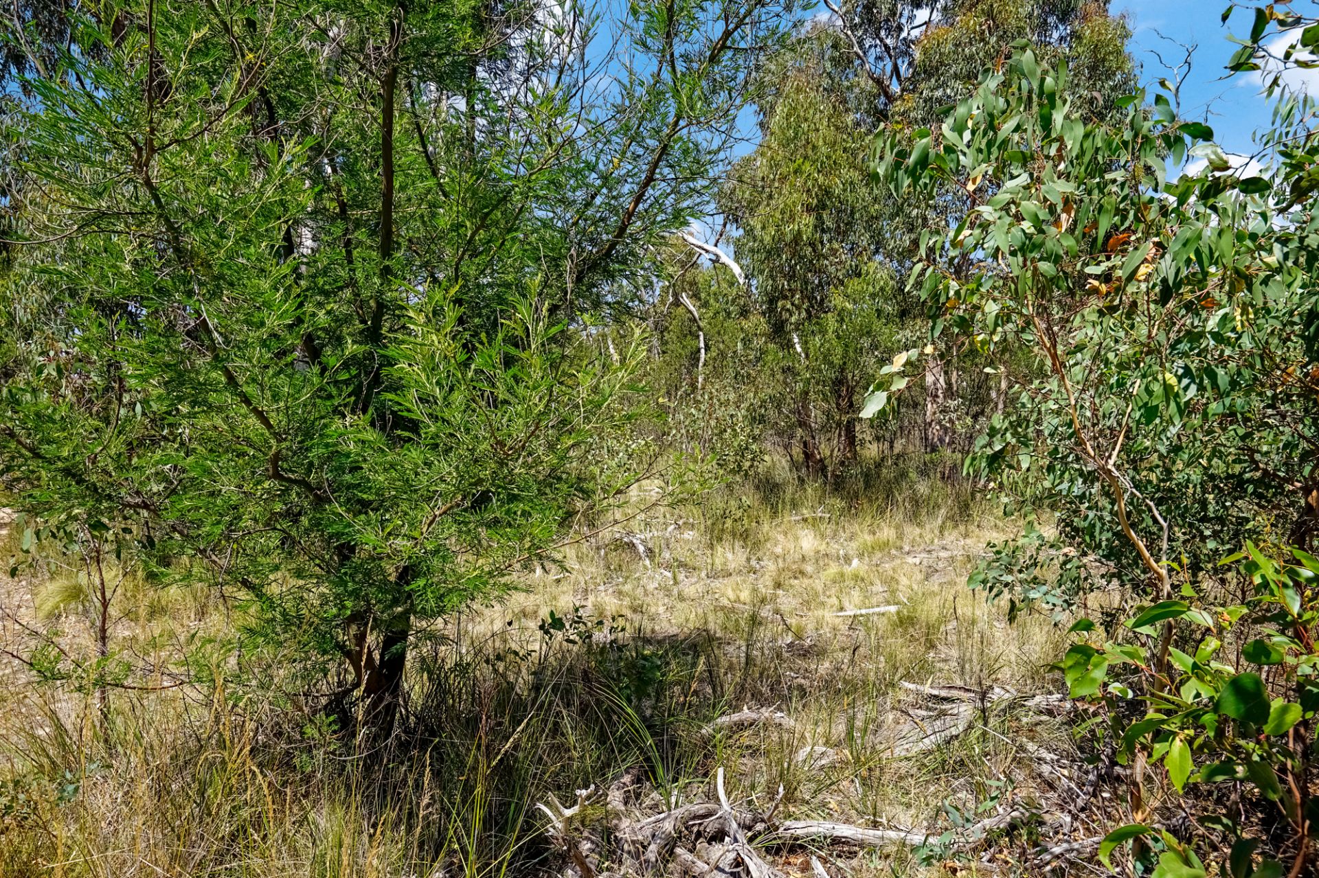 321 Moffats Road, Dereel, Dereel, Dereel - Thumbnail 2