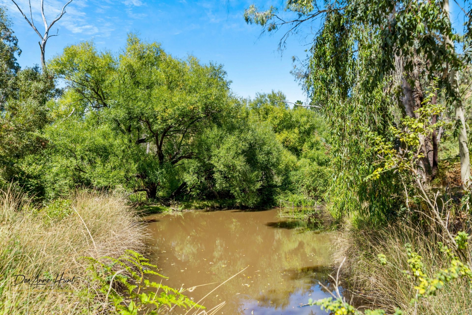 25 Ostigh Road, Carey Gully Williams Real Estate