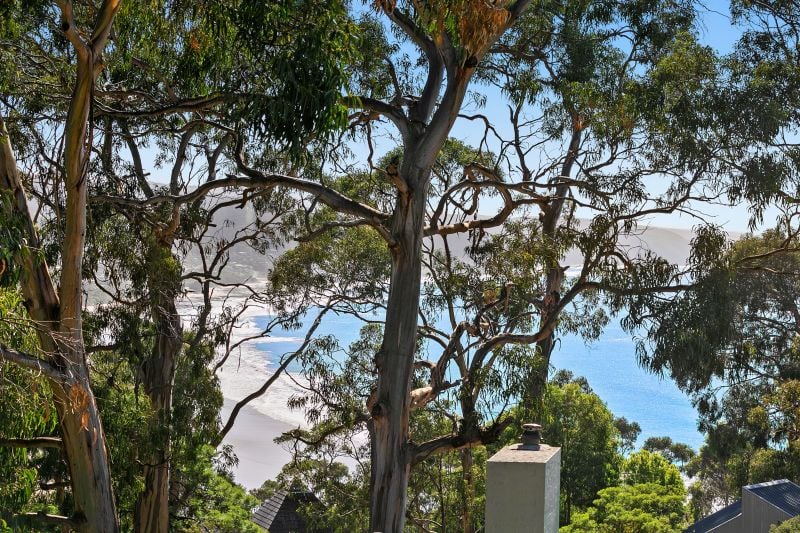 2/16 Charles Street, Lorne, VIC, Lorne - Thumbnail 3
