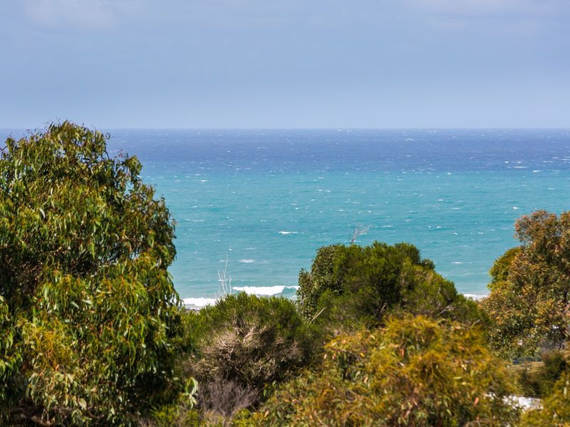 22 Second Avenue, Anglesea - Thumbnail 6