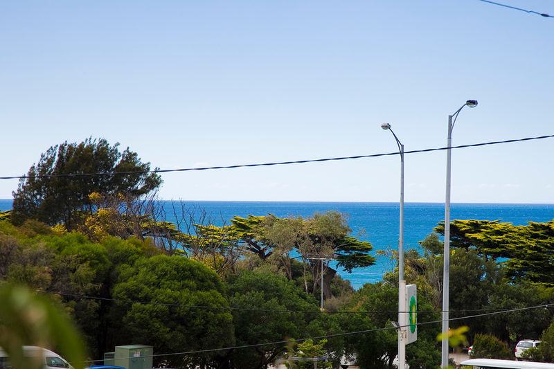 1 Grove Road, Lorne, VIC, Lorne - Thumbnail 7