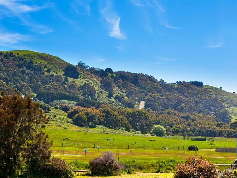 1 Scott Place, Apollo Bay, VIC, Apollo Bay - Thumbnail 2