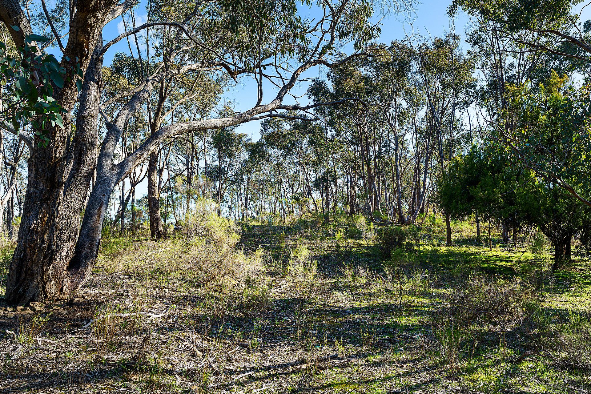 32 Dishpan Gully Road Chewton Bushlands, Chewton Bushlands - Thumbnail 8