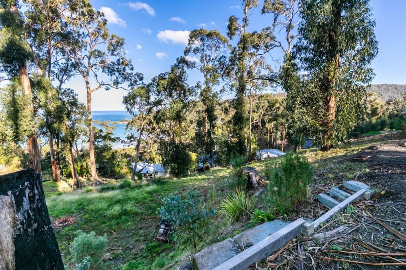 10 Durimbil Avenue, Wye River, VIC, Wye River - Thumbnail 5