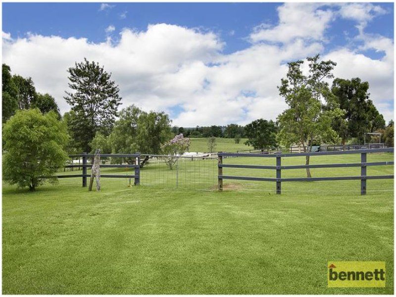 139 Pitt Town Road, McGraths Hill - Thumbnail 2