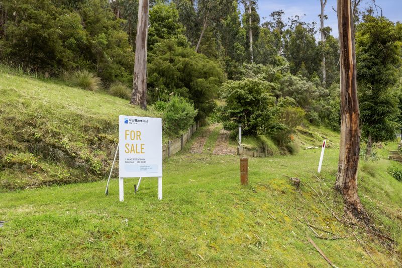 3 Wallace Street, Wye River, VIC, Wye River - Thumbnail 4
