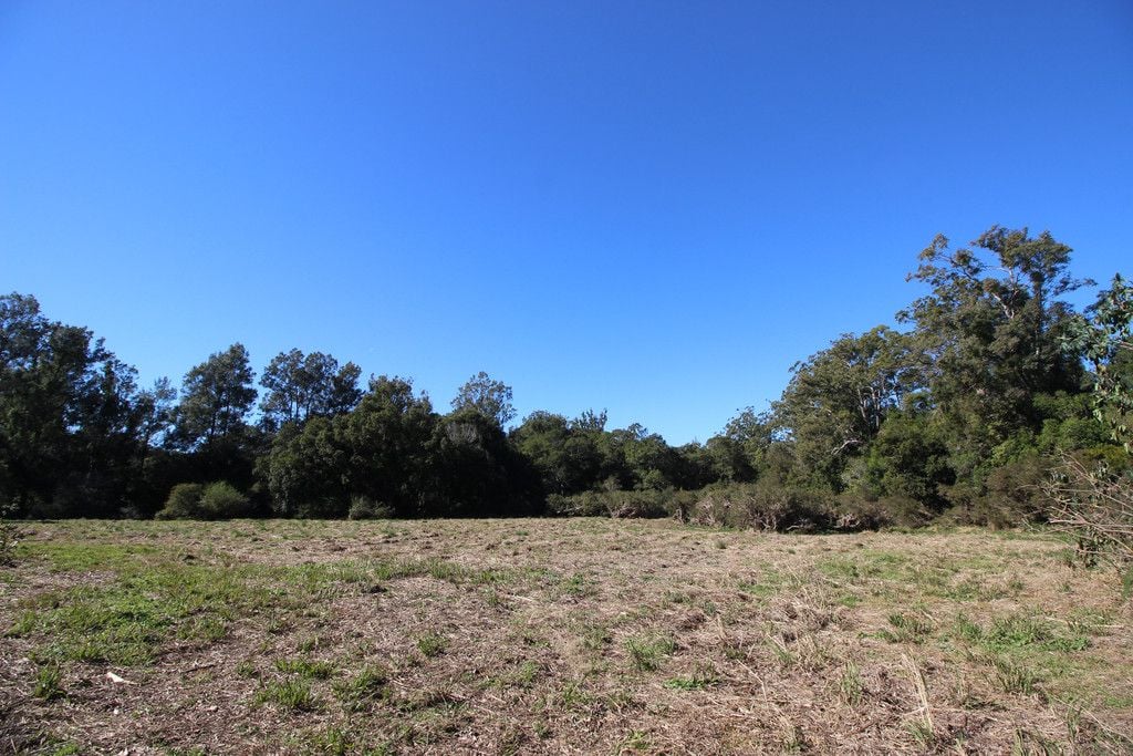 444 Upper Rollands Plains Road, UPPER ROLLANDS PLAINS NSW 2441