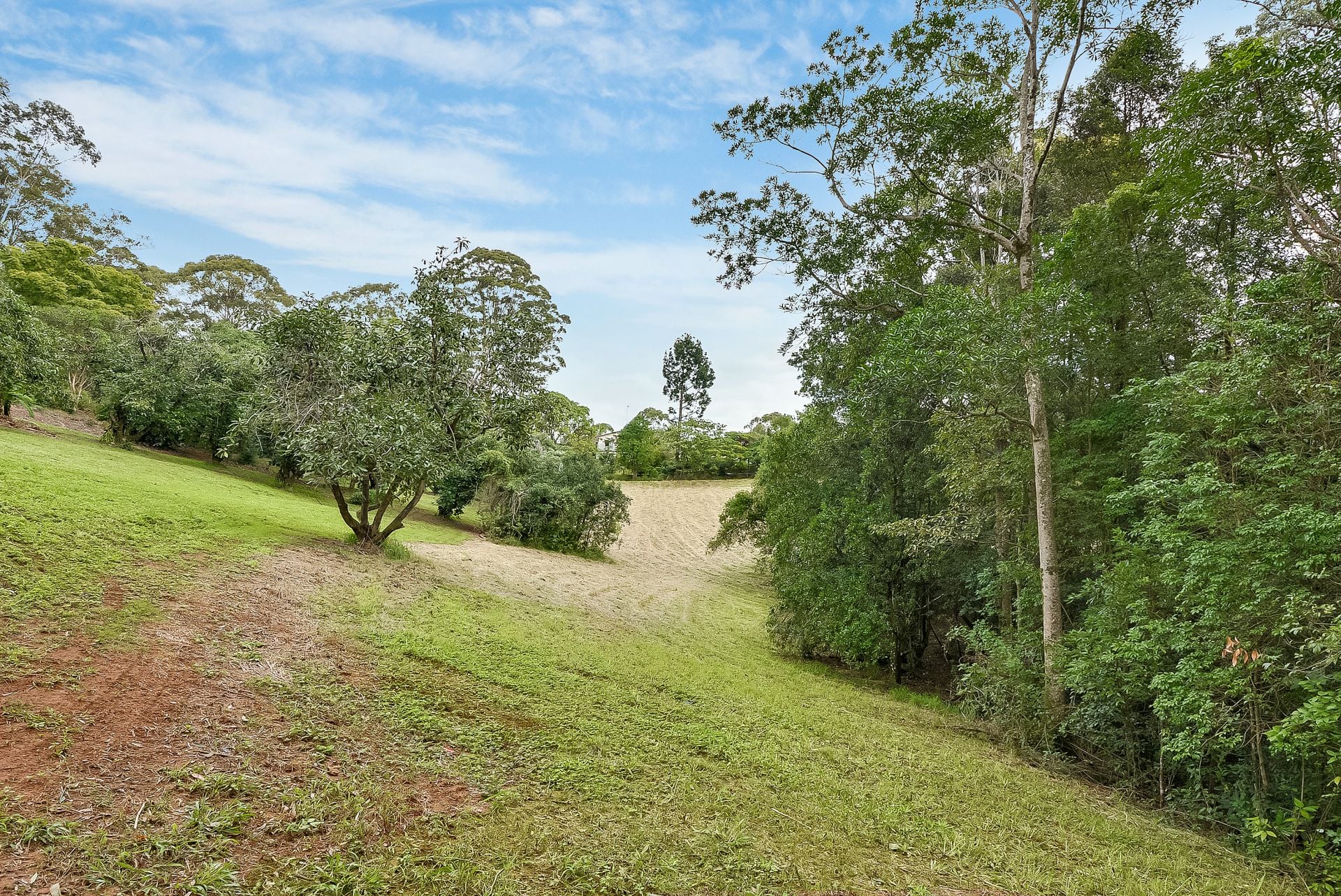 402 Upper Landershute Road Palmwoods QLD, Palmwoods - Thumbnail 8