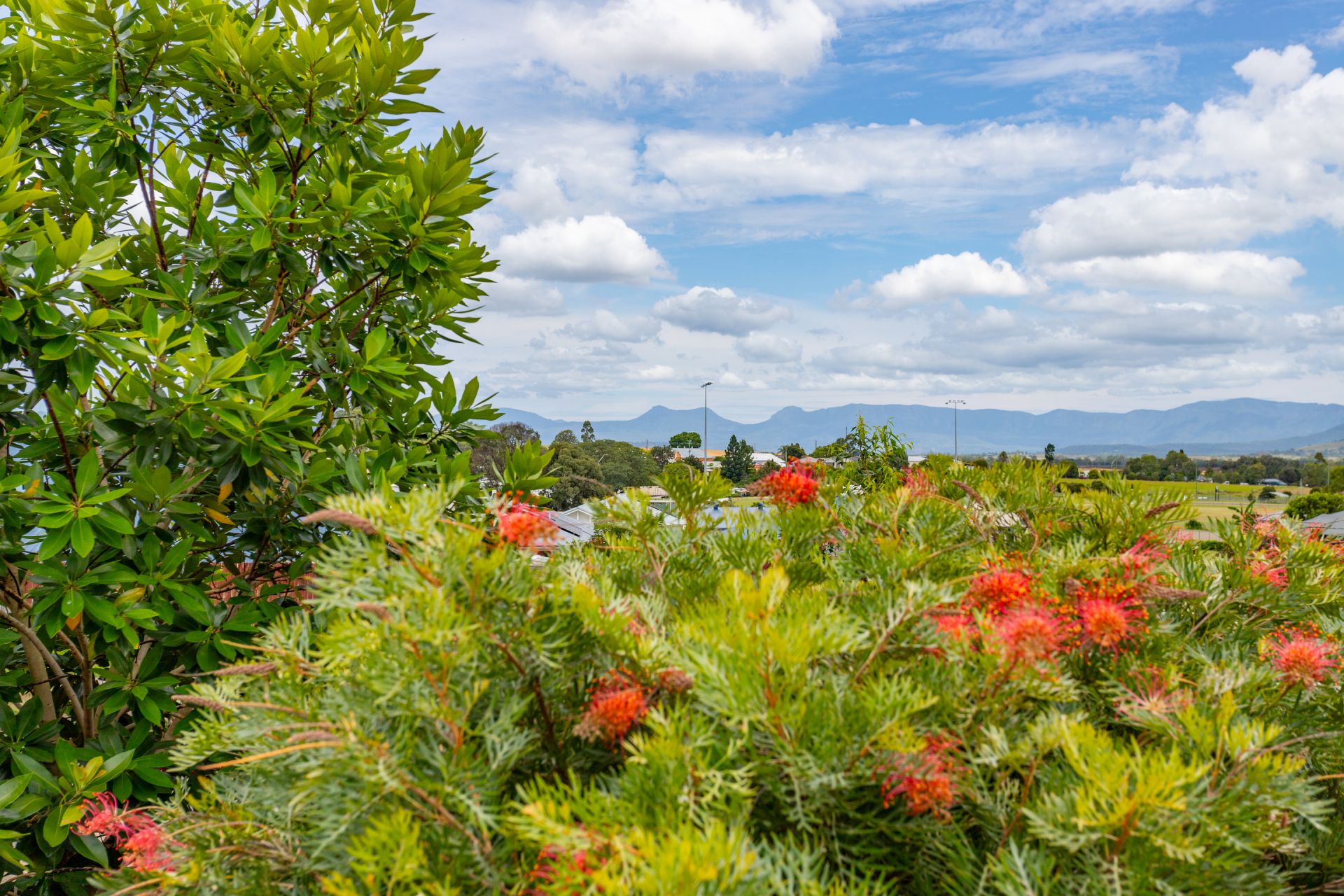 13 Wheatfield Street Kalbar QLD, Kalbar - Thumbnail 2