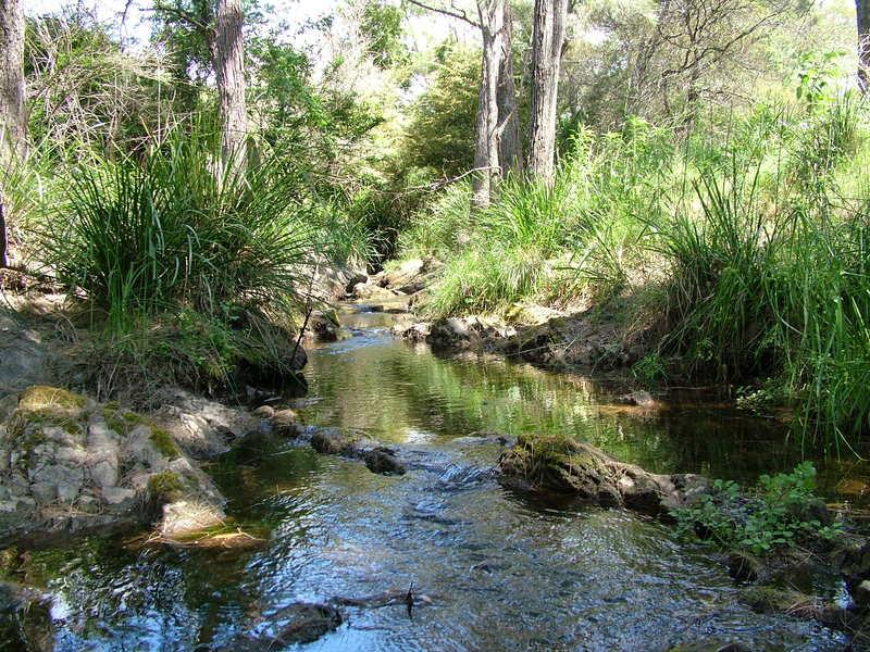 Real Estate For Sale 1473 BUCKETTS Way Bakers Creek , NSW