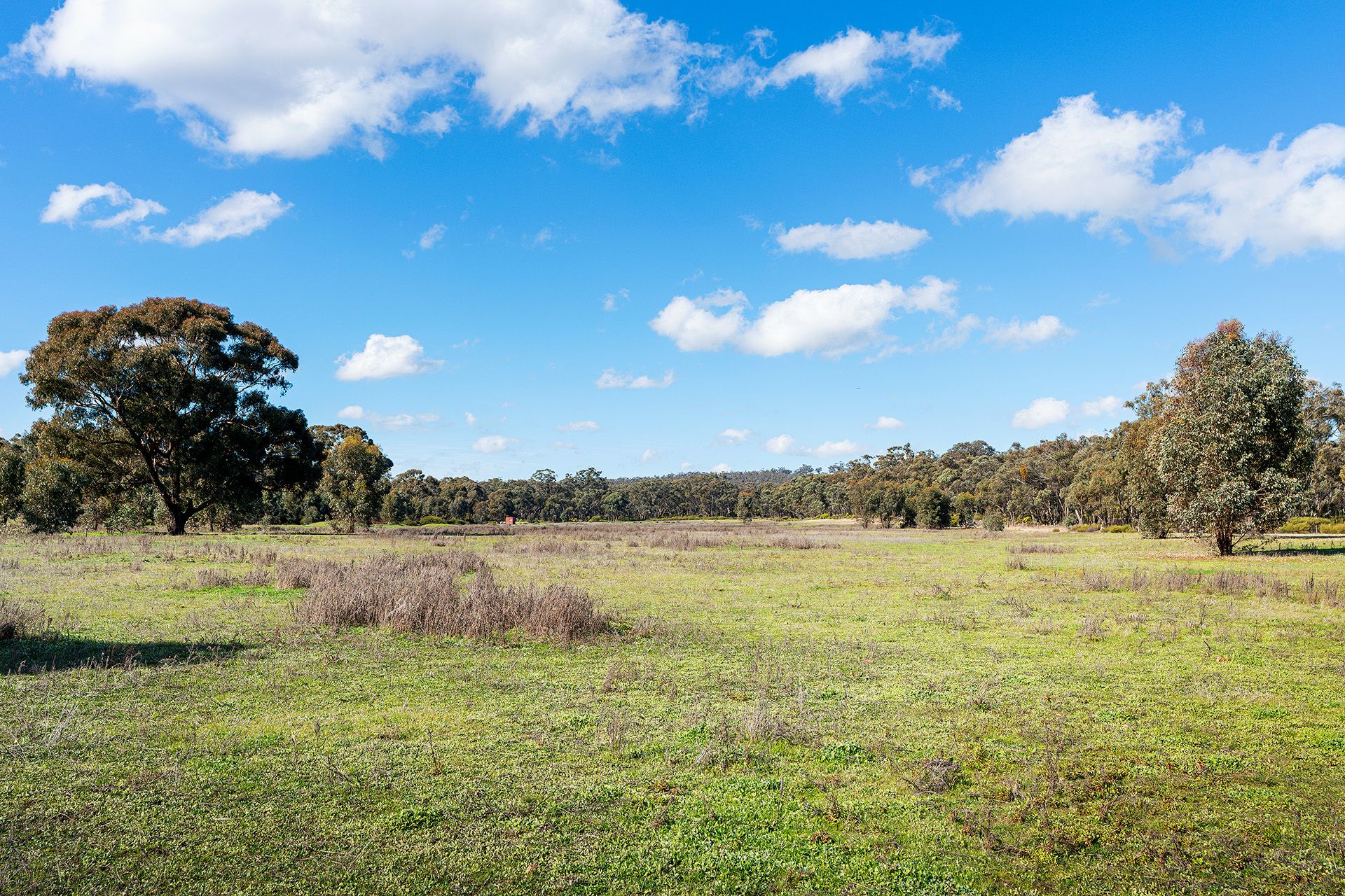 Lot 5, 58 Main Street Eldorado, Harcourt - Thumbnail 6