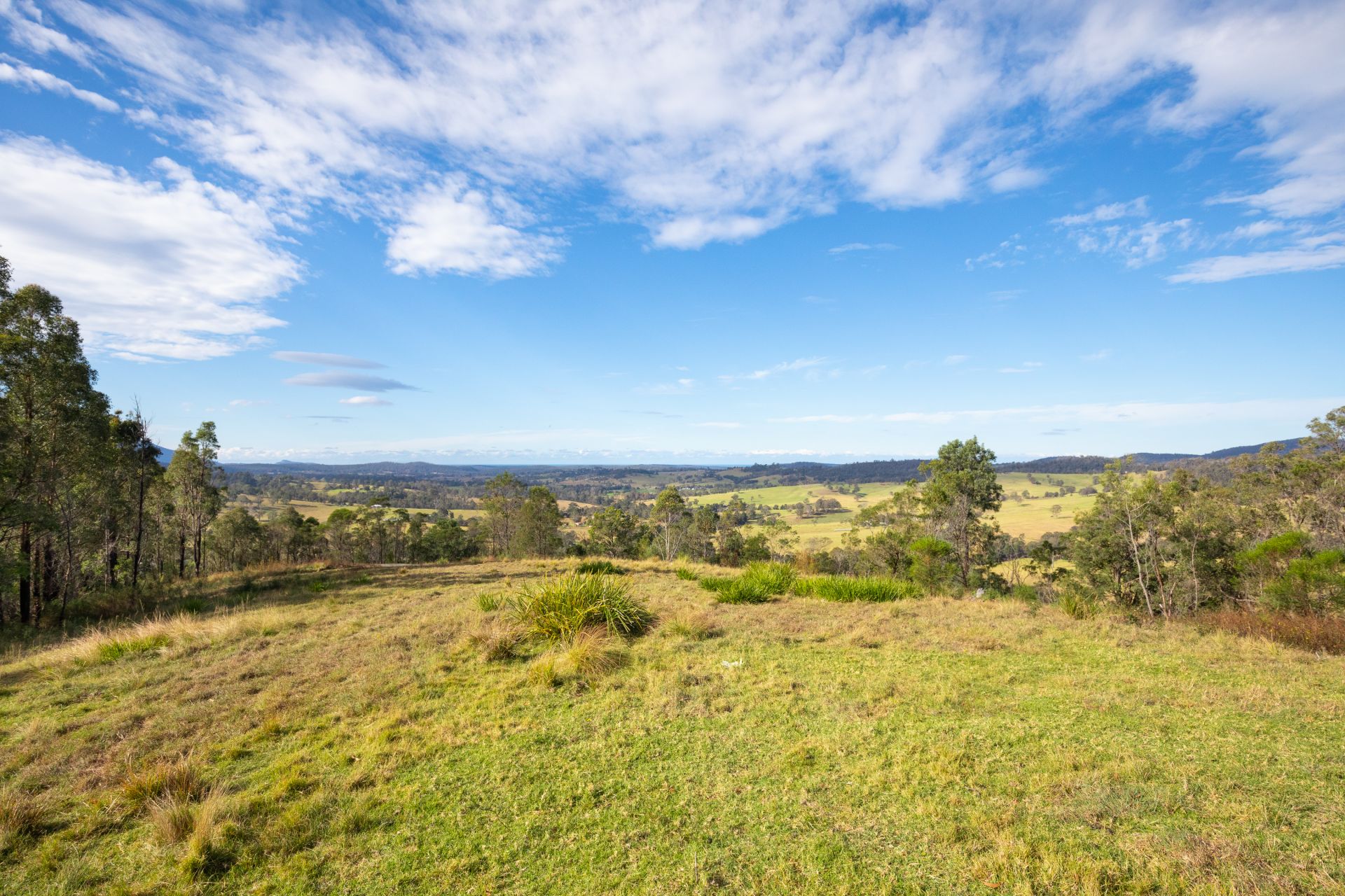 Lot 22 Barrabaroo Road, Cobargo Butterfield Property