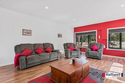 3
 
 
 
  
 
 
 2
 
 
 
 
 
 
 
 
 37 Native Rock Road, Railton TAS 7305, Railton - Thumbnail 6