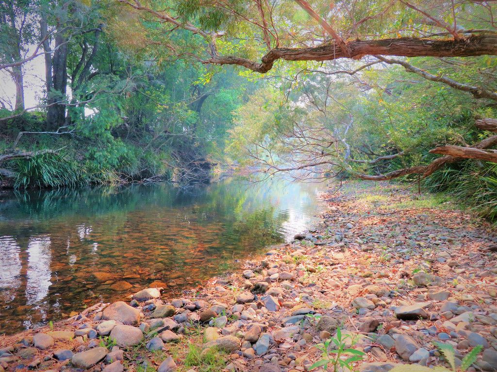 438 Upper Rollands Plains Rd, ROLLANDS PLAINS NSW 2441