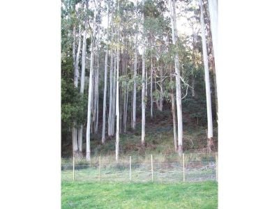 229 Melrose Road, ABERDEEN, Aberdeen - Thumbnail 2